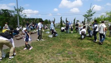 「円山動物園」外来植物除去の活動