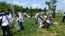 「円山動物園」外来植物除去の活動