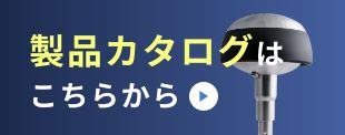 iJ^O͂